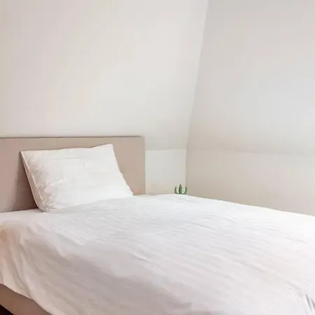 Spacious And Historic With Castle View