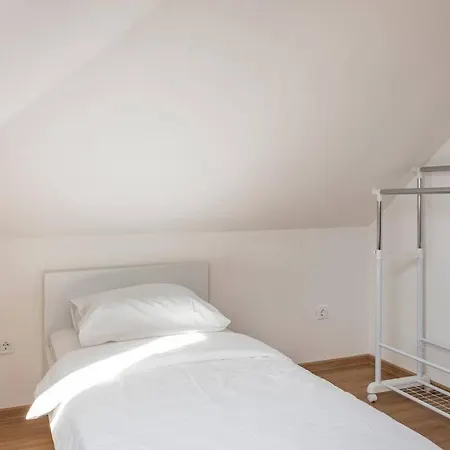 Spacious And Historic With Castle View Bled