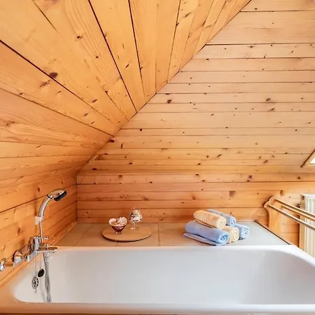 Spacious And Historic With Castle View Villa Bled